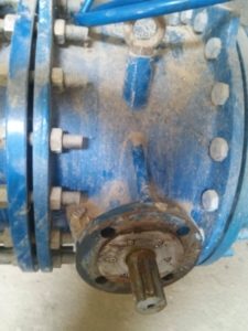 WhatsApp Image 2022-02-16 at 13.35.32